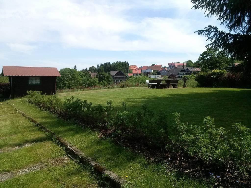 Ferienwohnung Harzluchs Mit Balkon, Netflix Und Sauna Im Haus Hohegeiss Bilik gambar