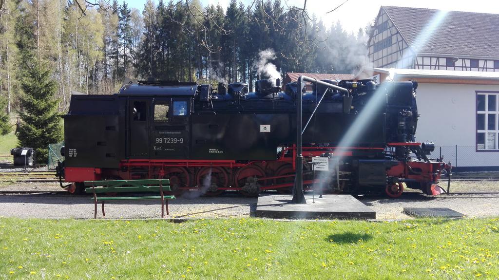 Ferienwohnung Harzluchs Mit Balkon, Netflix Und Sauna Im Haus Hohegeiss Luaran gambar