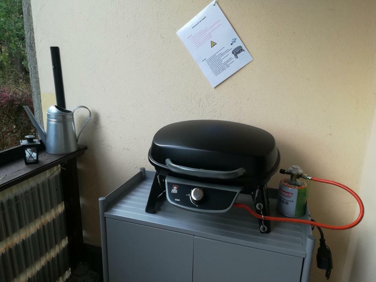 Ferienwohnung Harzluchs Mit Balkon, Netflix Und Sauna Im Haus Hohegeiss Luaran gambar
